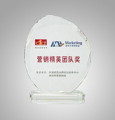 中国精英大师论坛营销精英团队奖