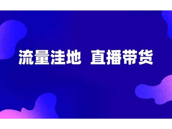 正播网红直播带货，新的流量洼地！